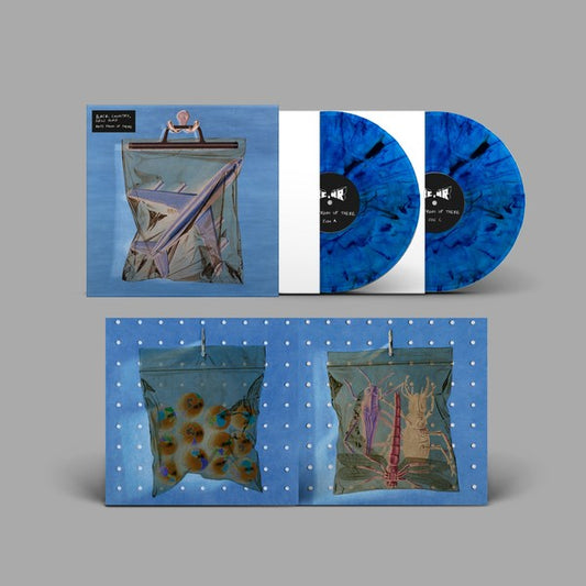 BLACK COUNTRY, NEW ROAD - ANTS FROM UP THERE (LIMITED BLUE EDITION)