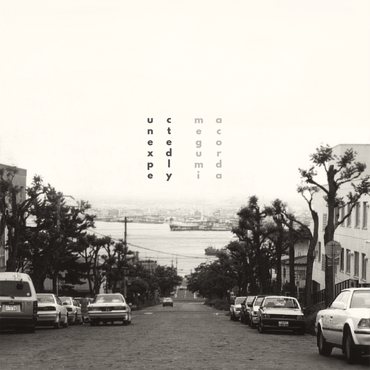 Megumi Acorda-Unexpectedly (Quarantine Session) 2x7" lathe cut records